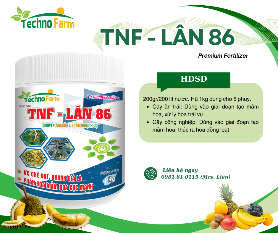 TNF - LÂN 86