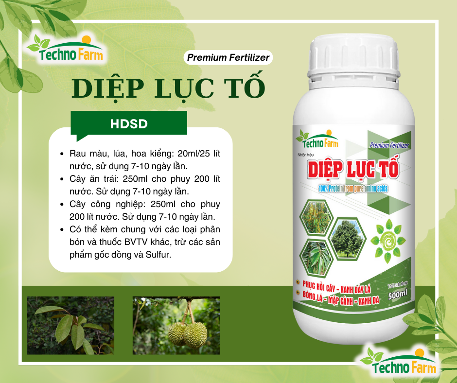 DIỆP LỤC TỐ